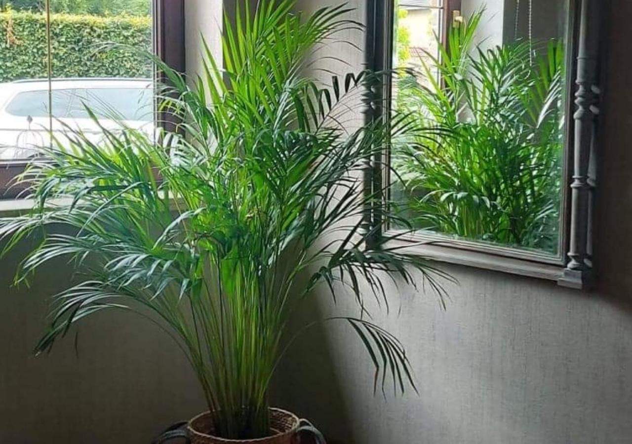 Vakantiewoning - 'T Ouwershuys Opoeteren 外观 照片